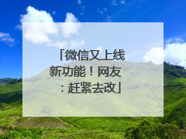 微信又上线新功能！网友：赶紧去改
