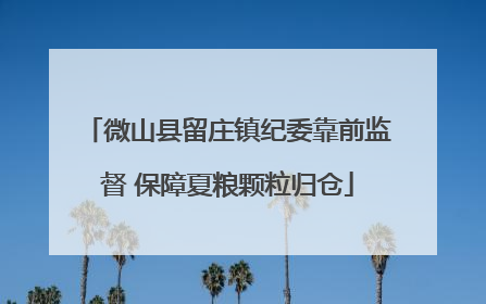 微山县留庄镇纪委靠前监督 保障夏粮颗粒归仓