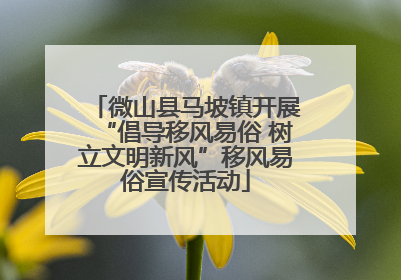 微山县马坡镇开展“倡导移风易俗 树立文明新风”移风易俗宣传活动