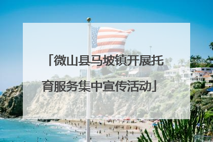微山县马坡镇开展托育服务集中宣传活动