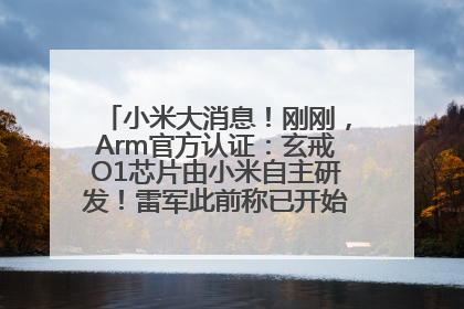 小米大消息！刚刚，Arm官方认证：玄戒O1芯片由小米自主研发！雷军此前称已开始大规模量产