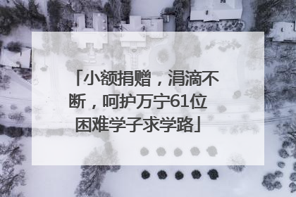 小额捐赠，涓滴不断，呵护万宁61位困难学子求学路