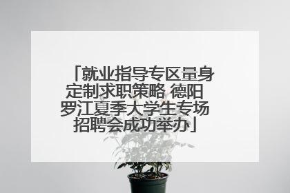 就业指导专区量身定制求职策略 德阳罗江夏季大学生专场招聘会成功举办