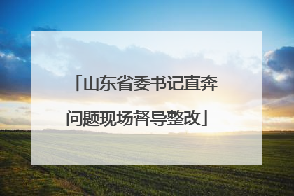 山东省委书记直奔问题现场督导整改
