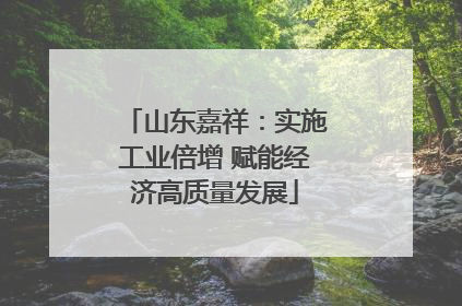 山东嘉祥：实施工业倍增 赋能经济高质量发展