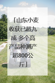 山东小麦收获已超九成 多个高产品种测产超800公斤