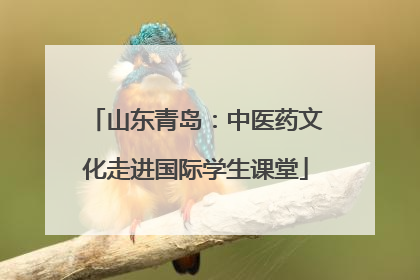 山东青岛：中医药文化走进国际学生课堂