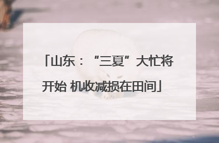 山东：“三夏”大忙将开始 机收减损在田间