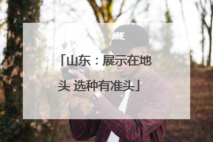 山东：展示在地头 选种有准头
