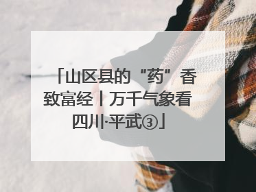 山区县的“药”香致富经丨万千气象看四川·平武③