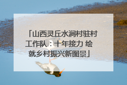 山西灵丘水涧村驻村工作队：十年接力 绘就乡村振兴新图景