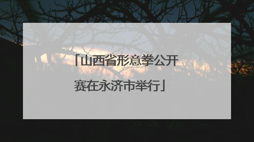 山西省形意拳公开赛在永济市举行