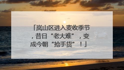 岚山区进入麦收季节，昔日“老大难”，变成今朝“抢手货”！