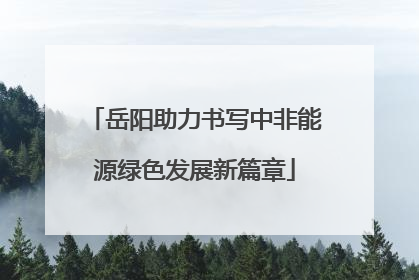 岳阳助力书写中非能源绿色发展新篇章