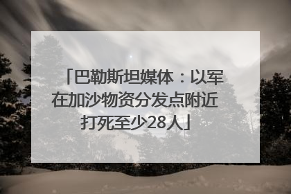 巴勒斯坦媒体：以军在加沙物资分发点附近打死至少28人