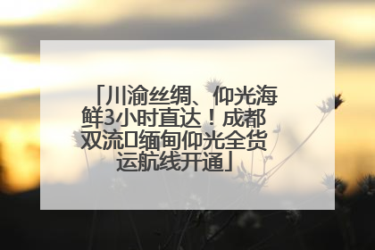 川渝丝绸、仰光海鲜3小时直达！成都双流⇌缅甸仰光全货运航线开通