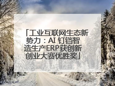 工业互联网生态新势力：AI 钉铛智造生产ERP获创新创业大赛优胜奖