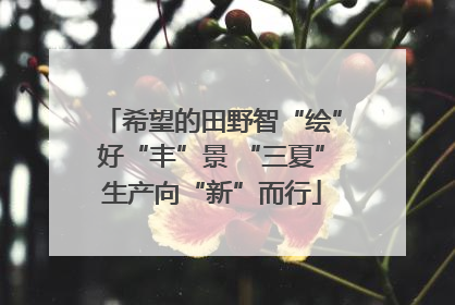 希望的田野智“绘”好“丰”景 “三夏”生产向“新”而行