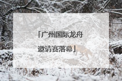 广州国际龙舟邀请赛落幕