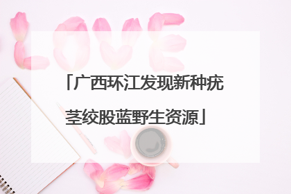 广西环江发现新种疣茎绞股蓝野生资源