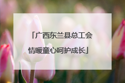 广西东兰县总工会情暖童心呵护成长