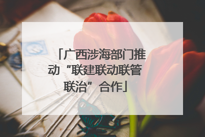 广西涉海部门推动“联建联动联管联治”合作