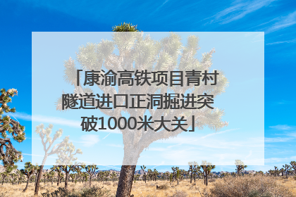 康渝高铁项目青村隧道进口正洞掘进突破1000米大关