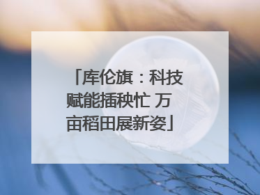 库伦旗：科技赋能插秧忙 万亩稻田展新姿