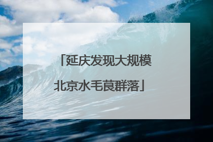 延庆发现大规模北京水毛茛群落