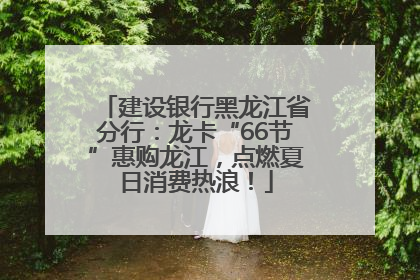 建设银行黑龙江省分行：龙卡“66节”惠购龙江，点燃夏日消费热浪！