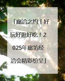 廊洽之约丨好玩好逛好吃！2025年廊坊经洽会精彩纷呈