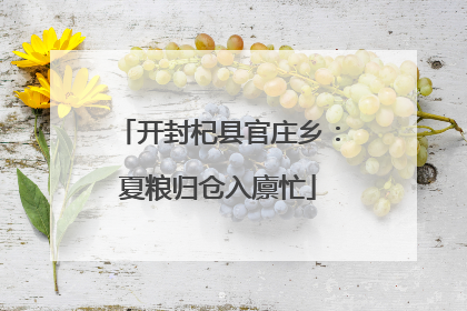 开封杞县官庄乡：夏粮归仓入廪忙