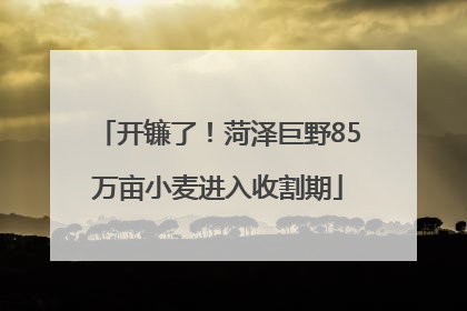 开镰了！菏泽巨野85万亩小麦进入收割期
