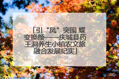 引“凤”突围 蝶变换颜——庆城县药王洞养生小镇农文旅融合发展纪实
