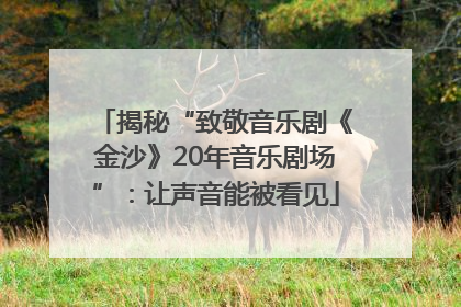 揭秘“致敬音乐剧《金沙》20年音乐剧场”：让声音能被看见