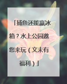 捕鱼还能赢冰箱？水上公园邀您来玩（文末有福利）