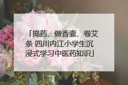 捣药、做香囊、卷艾条 四川内江小学生沉浸式学习中医药知识
