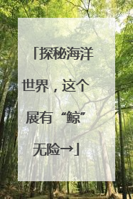 探秘海洋世界，这个展有“鲸”无险→