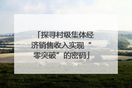 探寻村级集体经济销售收入实现“零突破”的密码