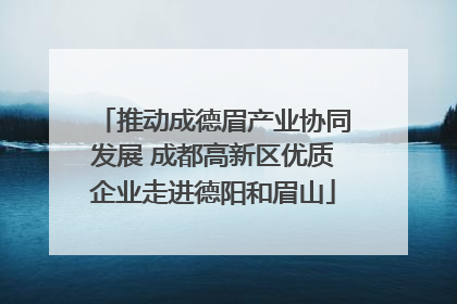 推动成德眉产业协同发展 成都高新区优质企业走进德阳和眉山