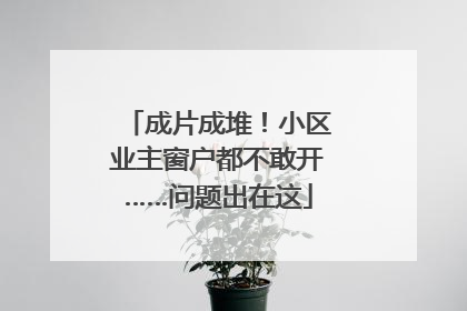 成片成堆！小区业主窗户都不敢开……问题出在这