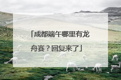 成都端午哪里有龙舟赛？回复来了