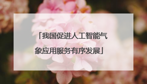 我国促进人工智能气象应用服务有序发展