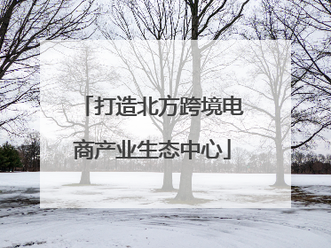 打造北方跨境电商产业生态中心