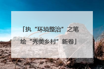 执“环境整治”之笔 绘“秀美乡村”新卷