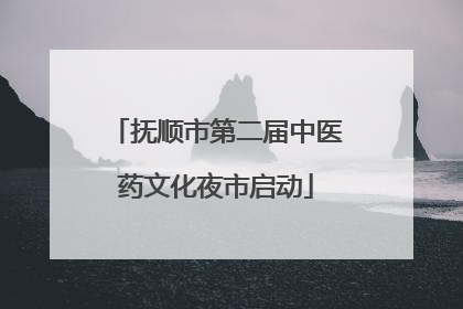 抚顺市第二届中医药文化夜市启动