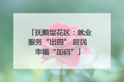 抚顺望花区：就业服务“出圈” 居民幸福“加码”