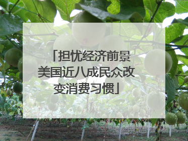 担忧经济前景 美国近八成民众改变消费习惯