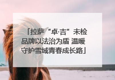 拉萨“卓·吉”未检品牌以法治为盾 温暖守护雪域青春成长路