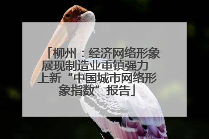 柳州：经济网络形象展现制造业重镇强力 上新“中国城市网络形象指数”报告
